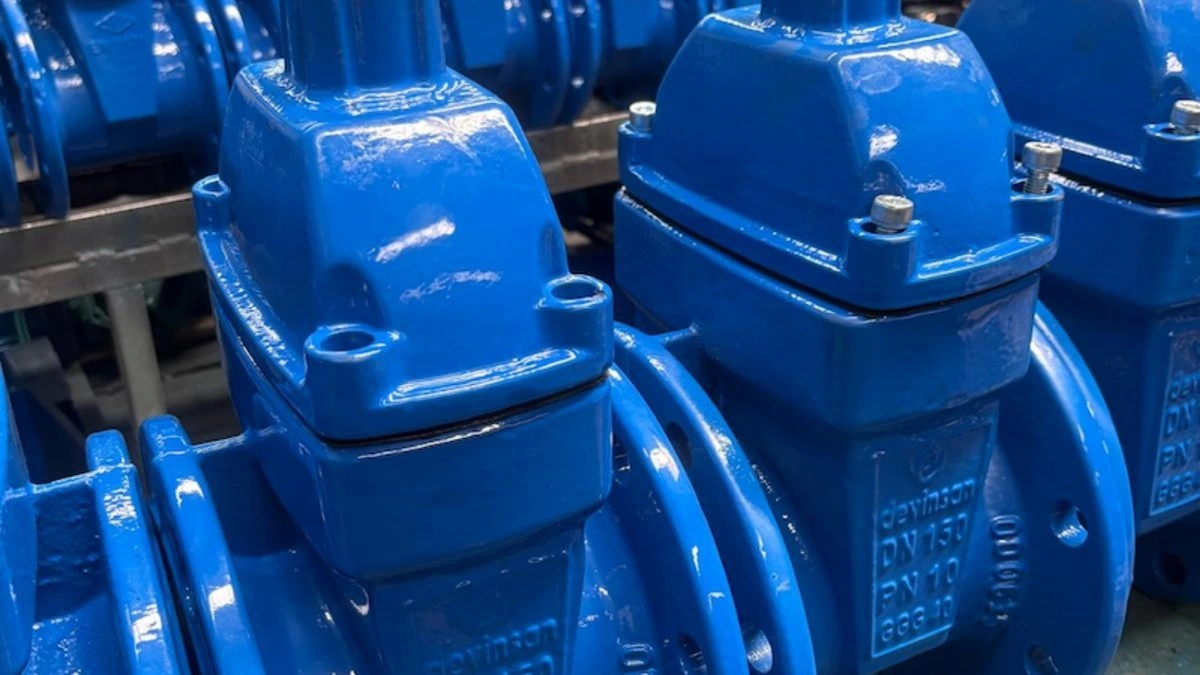 A close view of blue Devinsan gate valve products