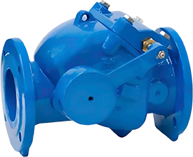 DCV12 Swing Check Valve with Lever