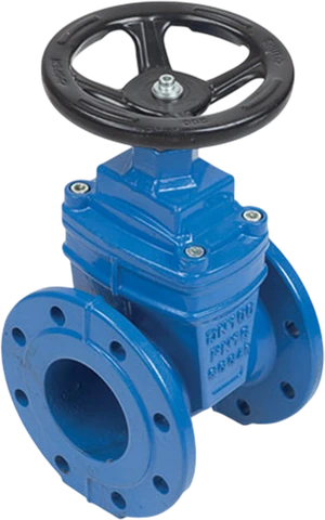 F4 resilient seated gate valve