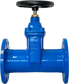 DGV11 F5 Resilient Seated Gate Valve