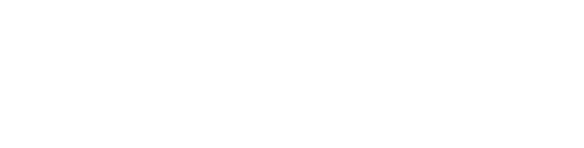 Devinsan company logo – global supplier of valves, fittings, and fire protection systems