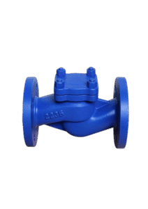 DCV14 Lift Type Check Valve for water and industrial systems, providing reliable backflow prevention and smooth flow control.