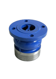 DCV18 Foot Valve for water and industrial systems, ensuring reliable backflow prevention and smooth suction flow in pumping applications.