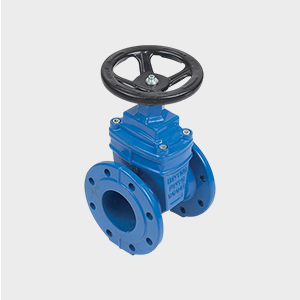 DGV Series industrial gate valves providing durable and precise flow control for water and fire protection systems.